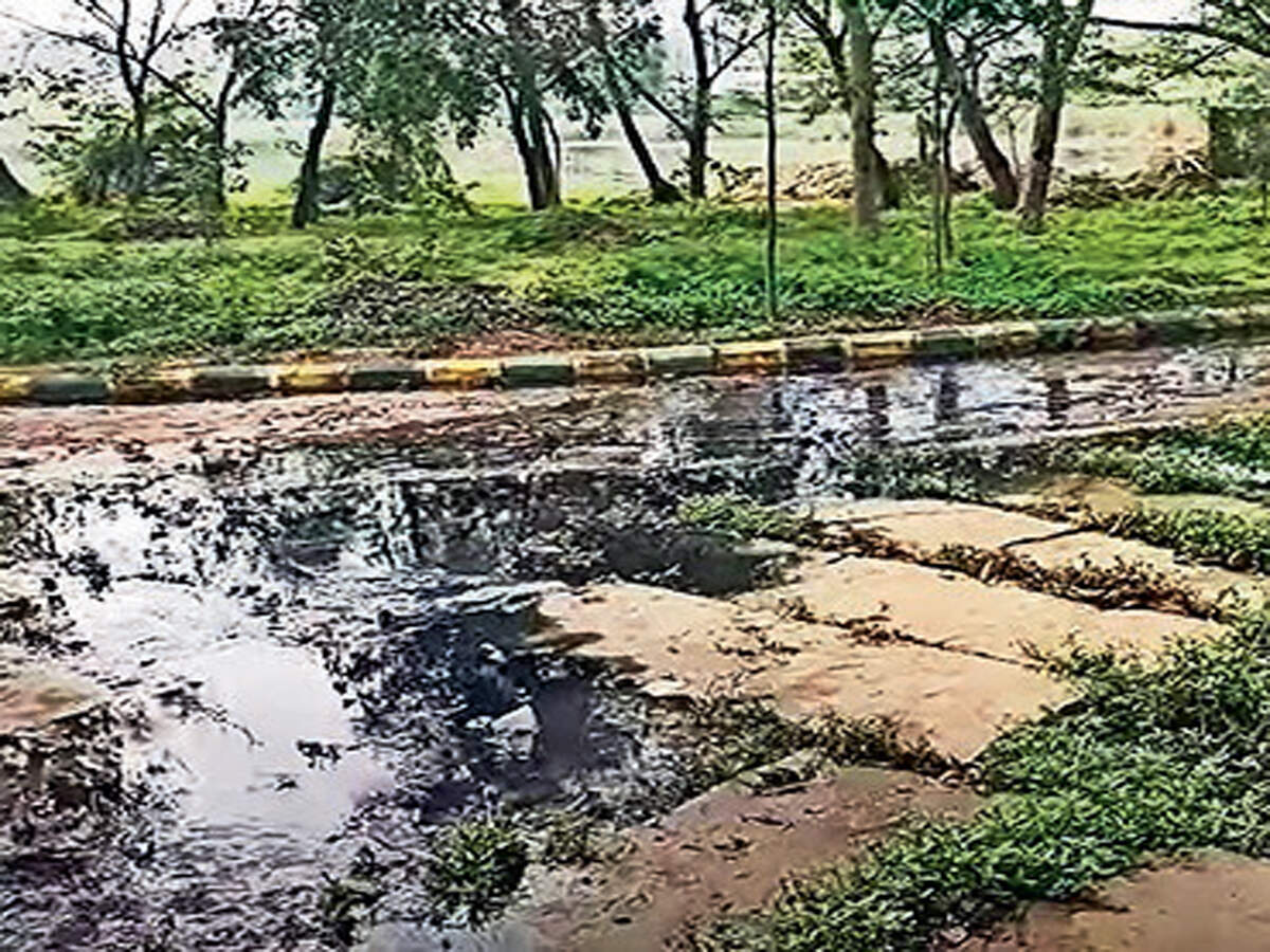 Even in 2051, Puttenahalli sewer network will do its job well: BWSSB