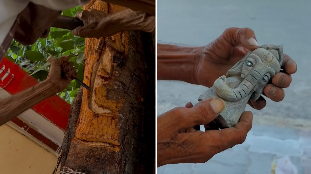 Ali’s current work includes a carving of Lord Ganesha directly on a living tree.