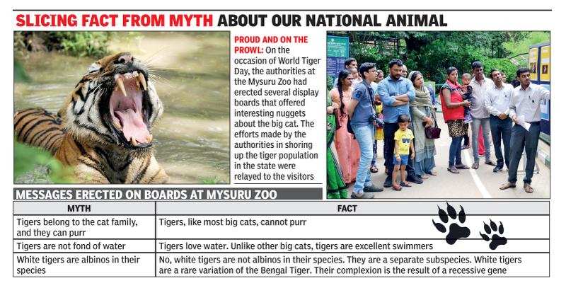 Karnataka will intensify conservation initiatives, says Mysuru Zoo ...