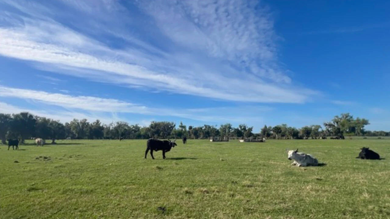 florida ranch
