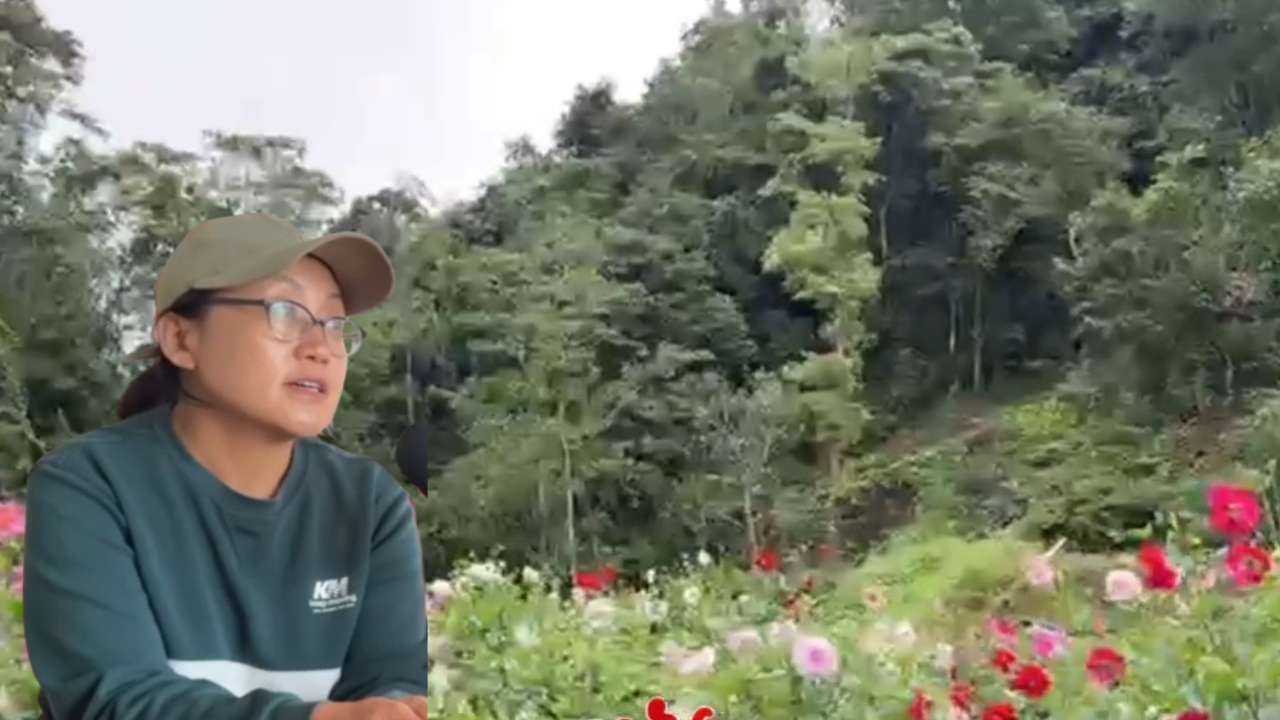 Meet 38-year-old Vesalu Puro from Nagaland who started growing flowers ...