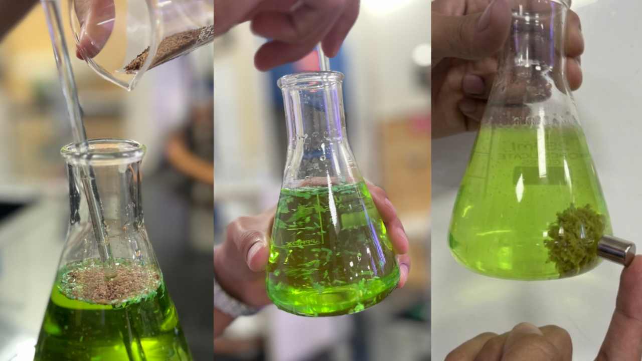 Plas-Stick uses discarded tamarind seeds to create a biodegradable magnetic powder designed to remove microplastics from water.<br>