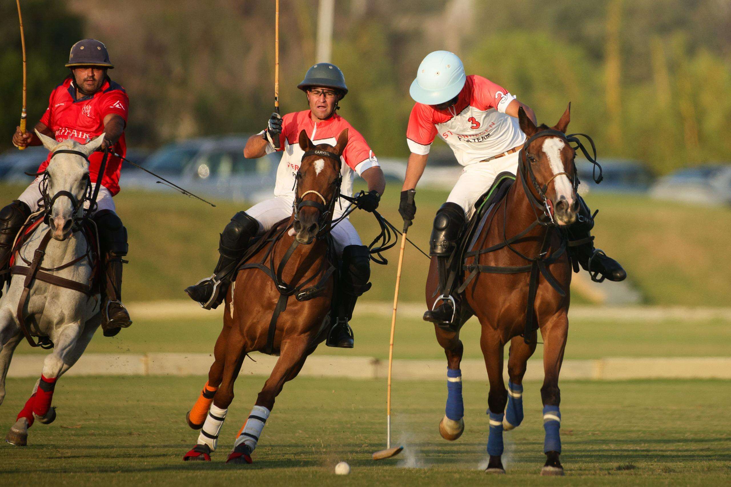 polo-4.jpg
