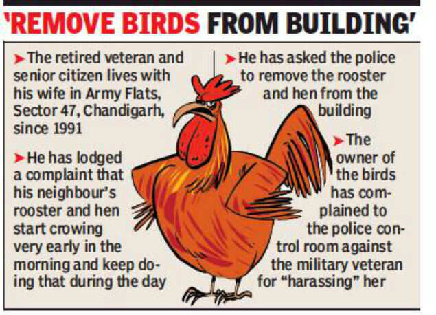 Chandigarh Military Veteran Moves Cops Against Crowing Cockerel Chandigarh News Times Of India