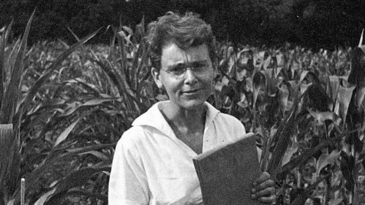 Barbara McClintock in the cornfield at CSHL, ca. 1950s (Image: Cold Spring Harbor Laboratory)