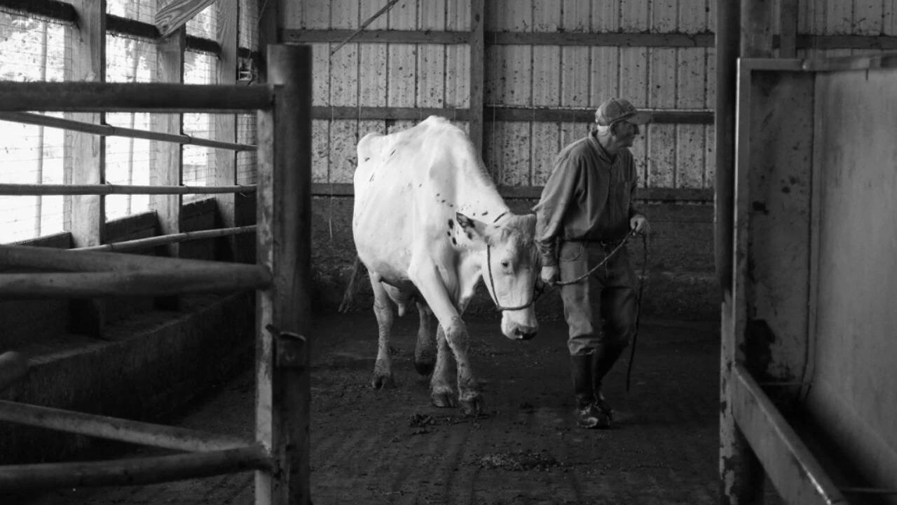 "For some reason, ever since I was a kid I wanted to have a dairy farm,” Biddle said. "For some reason, ever since I was a kid I wanted to have a dairy farm,” Biddle said.