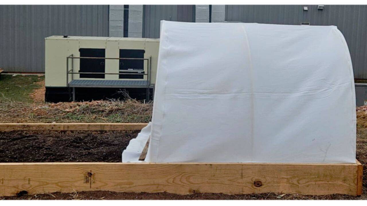 How did a military clothing fabric become a strawberry cover<br>