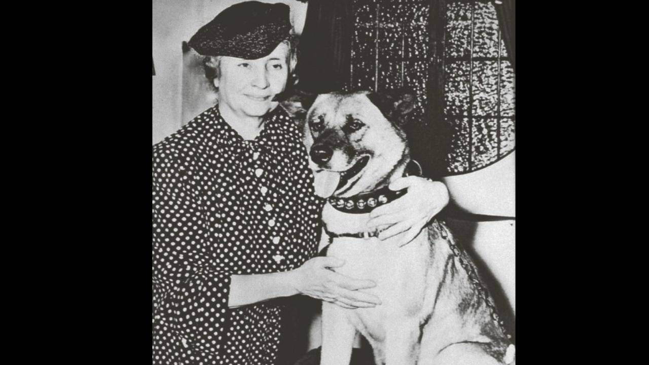 Helen Keller with her second Akita Kenzan Go