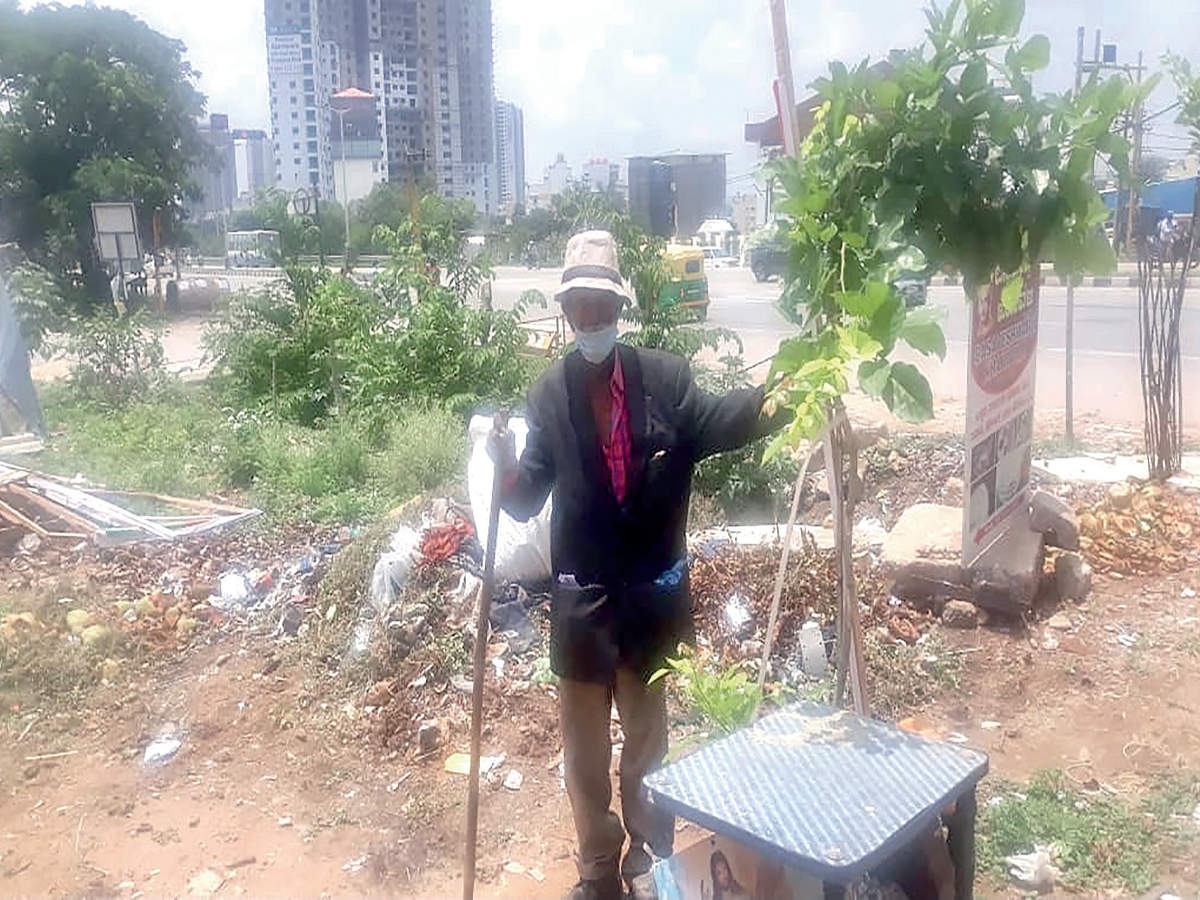 80-year-old rag picker creates patch of green in B'luru