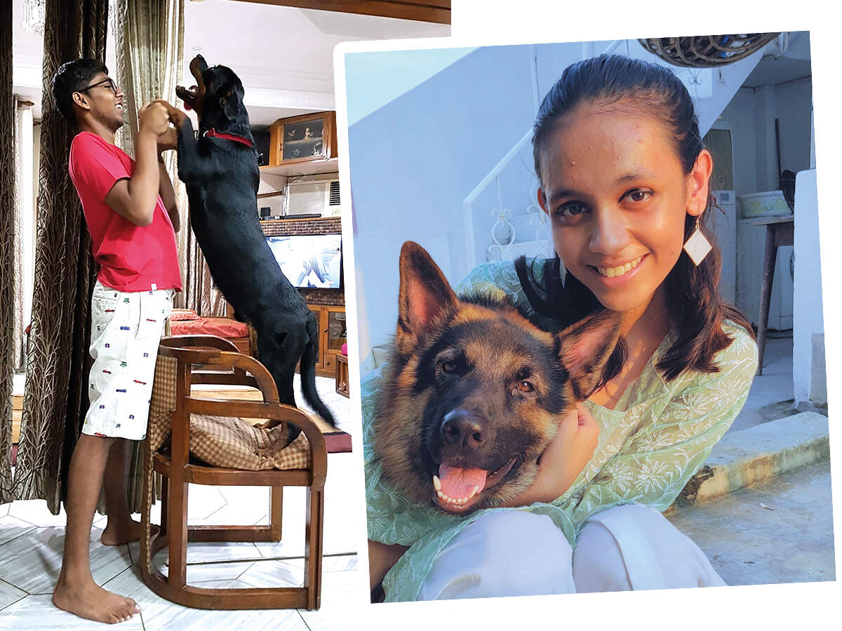 (L) Vatsal doesn’t burst crackers as it stresses with Rudy his pet dog (R) Nayanika keeps Blazer in her lap when crackers are being burst (BCCL)