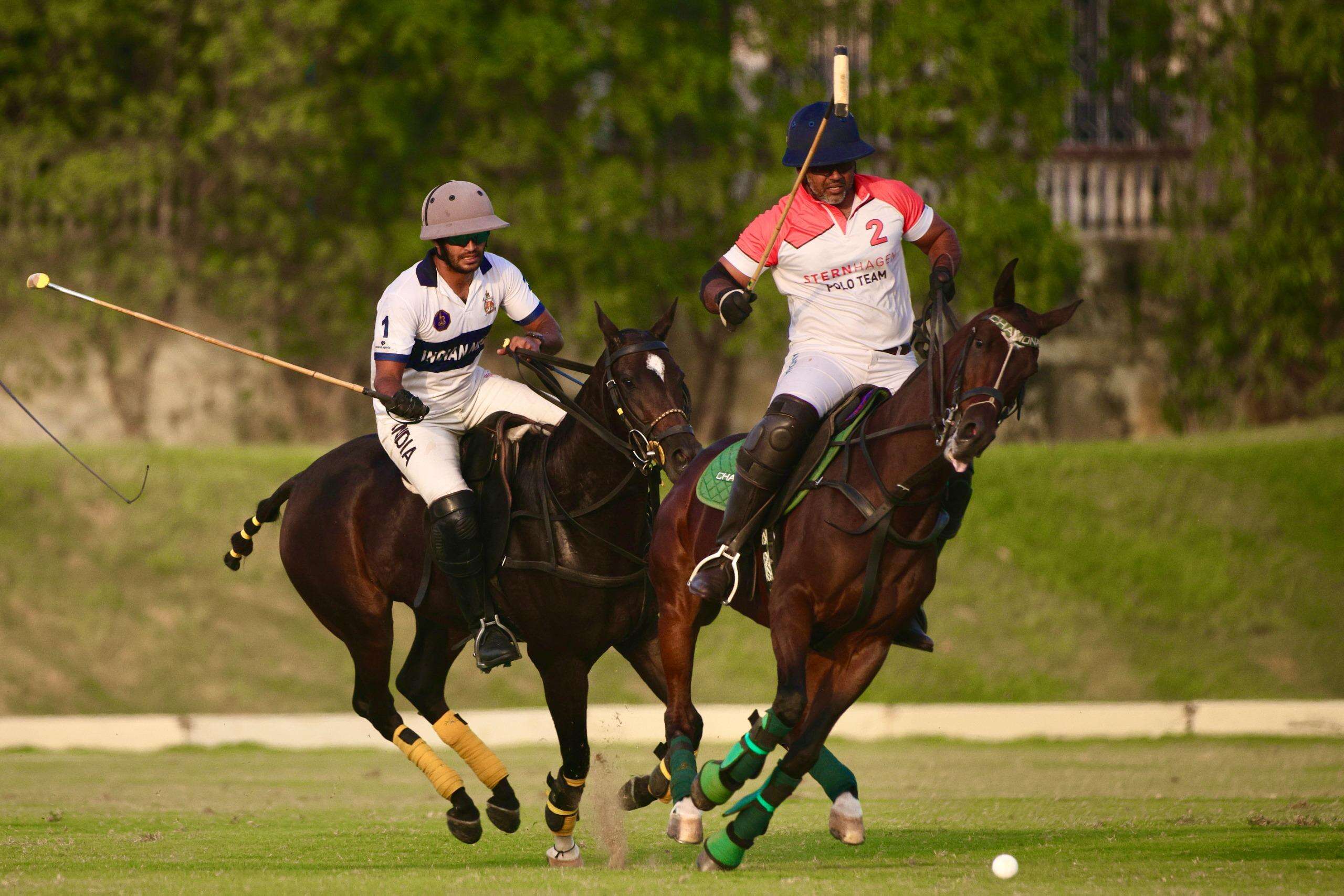 polo-3.jpg