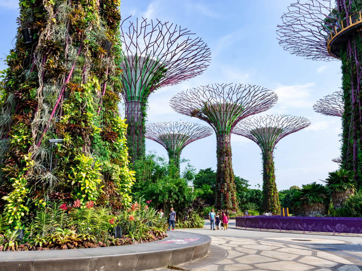 5 places in Singapore with senior-citizen friendly experiences