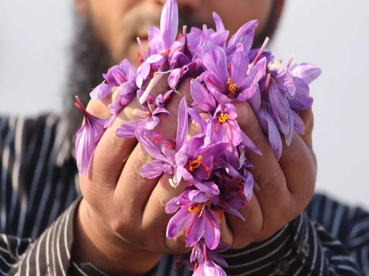 Get to know Pampore, the saffron town of Kashmir