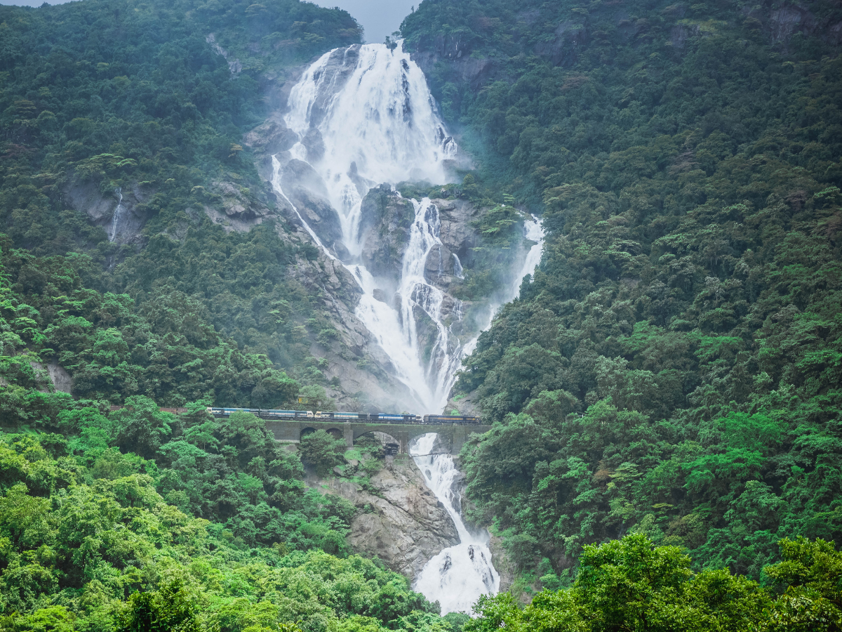 Goa’s Dudhsagar Falls: A trek to remember