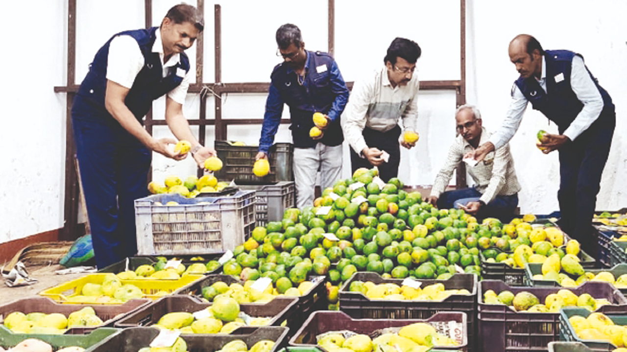 Variety Hall Road, Coimbatore Map, Property Rates, Projects, Photos