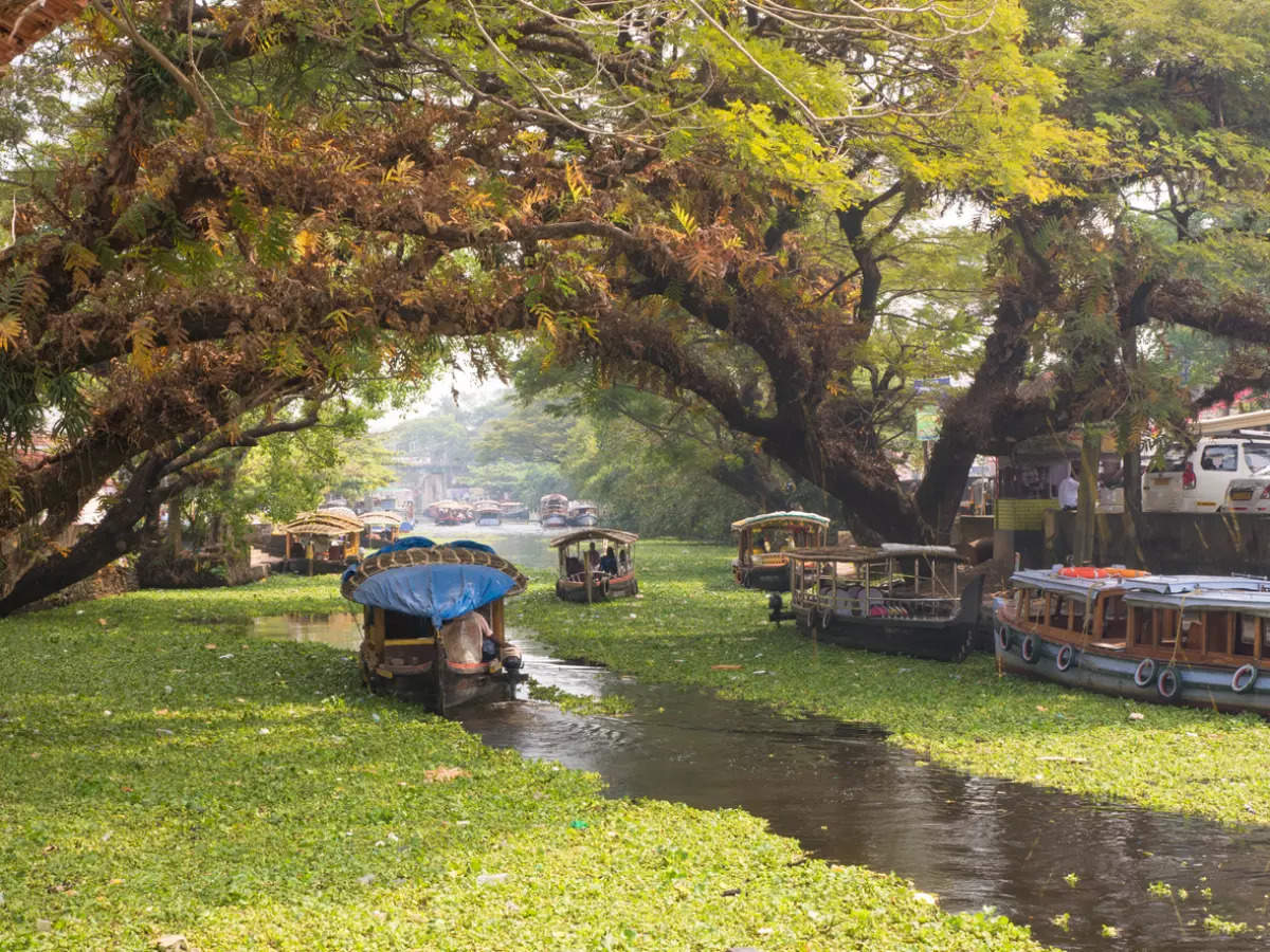 Exploring Kerala’s beautiful Vembanad Lake