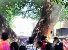 पूजा के दौरान पेड़ में लगी आग, कोई घायल नहीं | रांची न्यूज
