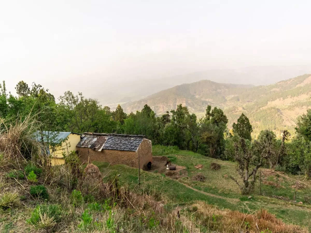 India’s most alluring forest rest houses