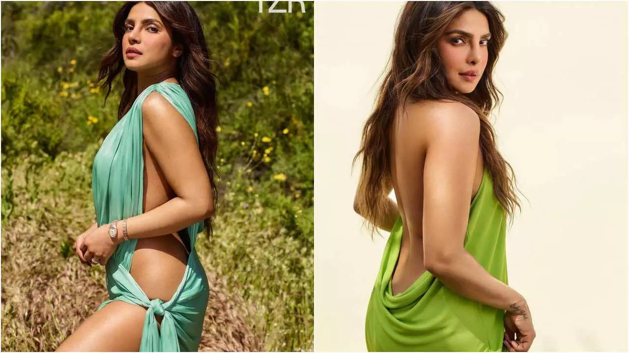 priyanka chopra backless hd