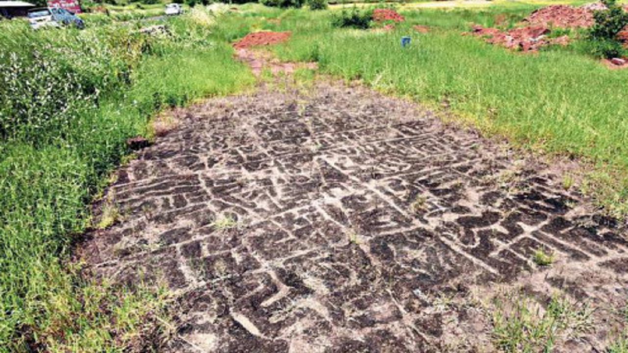 Research and conservation of Konkan’s petroglyphs gets Rs 5 crore | Pune News – Times of India