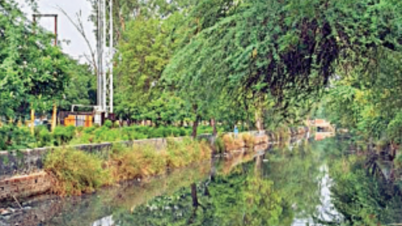 No drain cover, green belt upkeep in Sec 40, Noida Authority faces flak