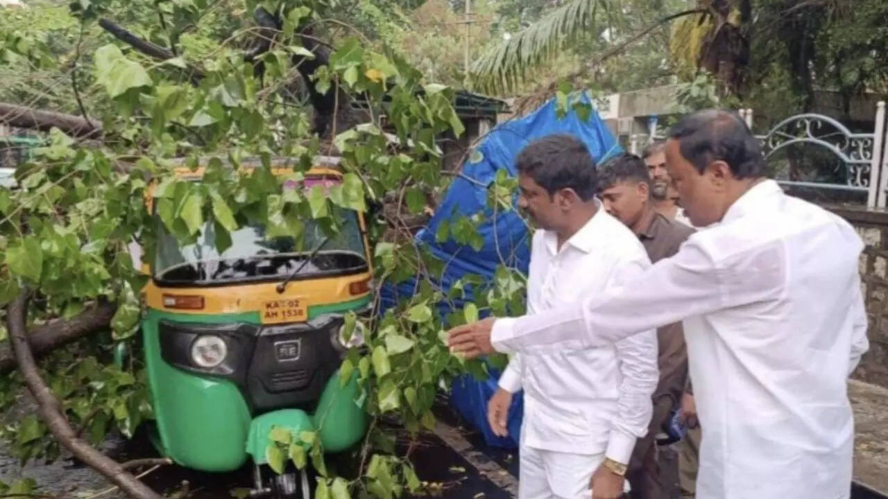 Strong wind, thundershowers uproot trees, flood underpasses in Bengaluru; IMD forecasts more rain | Bengaluru News – Times of India