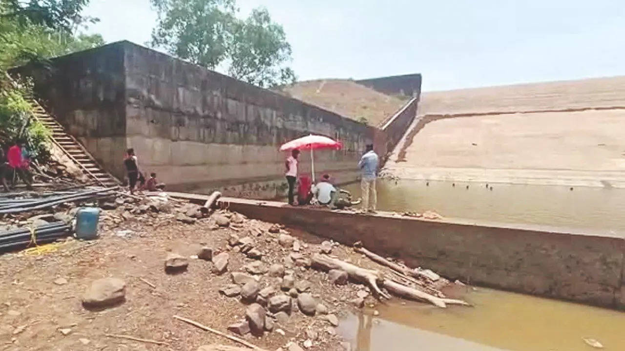 Chhattisgarh officer fined Rs 53,000 for draining reservoir to look for phone