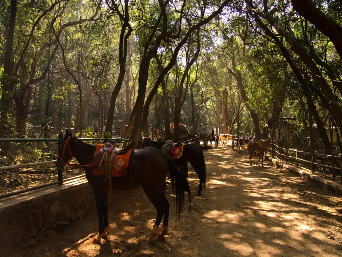Time stands still in Matheran, the quaint hill station in the Western Ghats