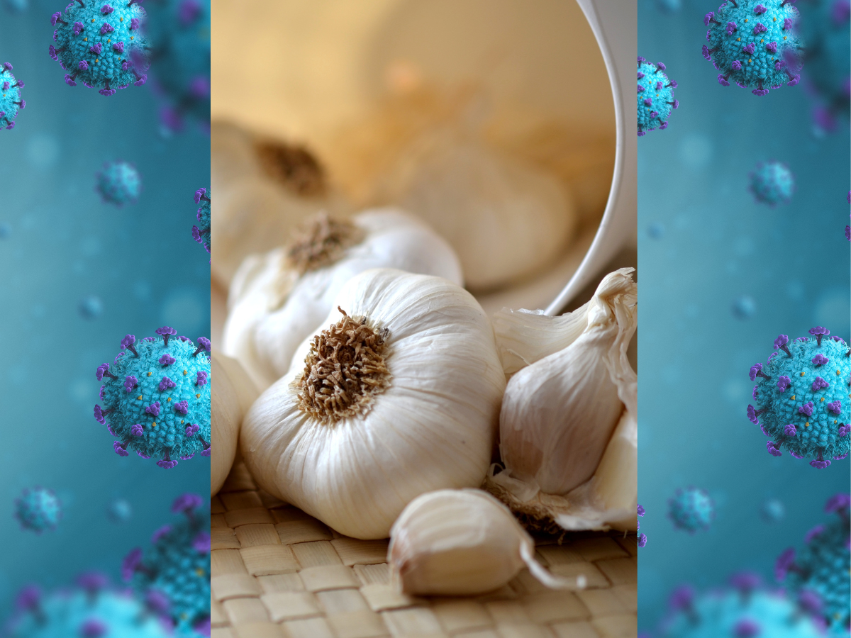Australian garlic kills COVID & flu virus