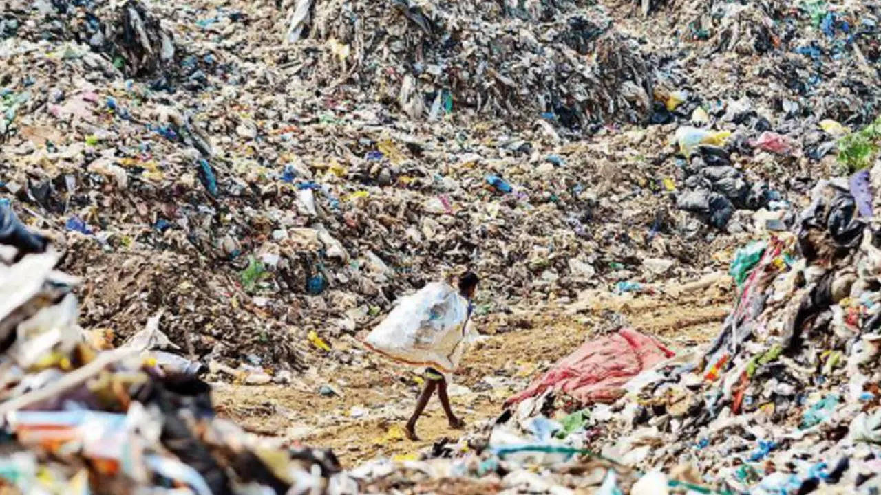 Assam adopts biomining to clear heaps of garbage