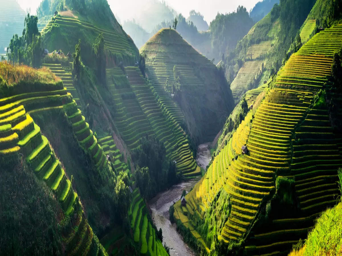Rice terraces of Sapa in Vietnam is a good reason to go see the country