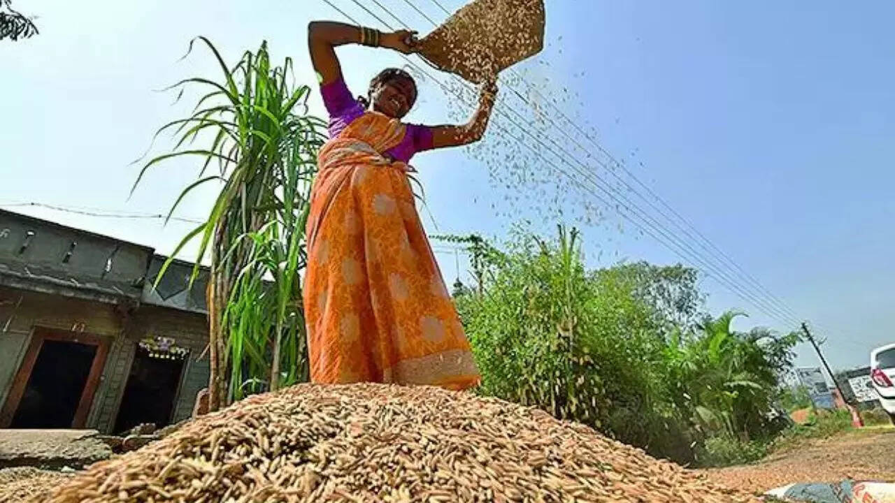 Government raises MSP for kharif crops, paddy&rsquo;s hiked by 7%