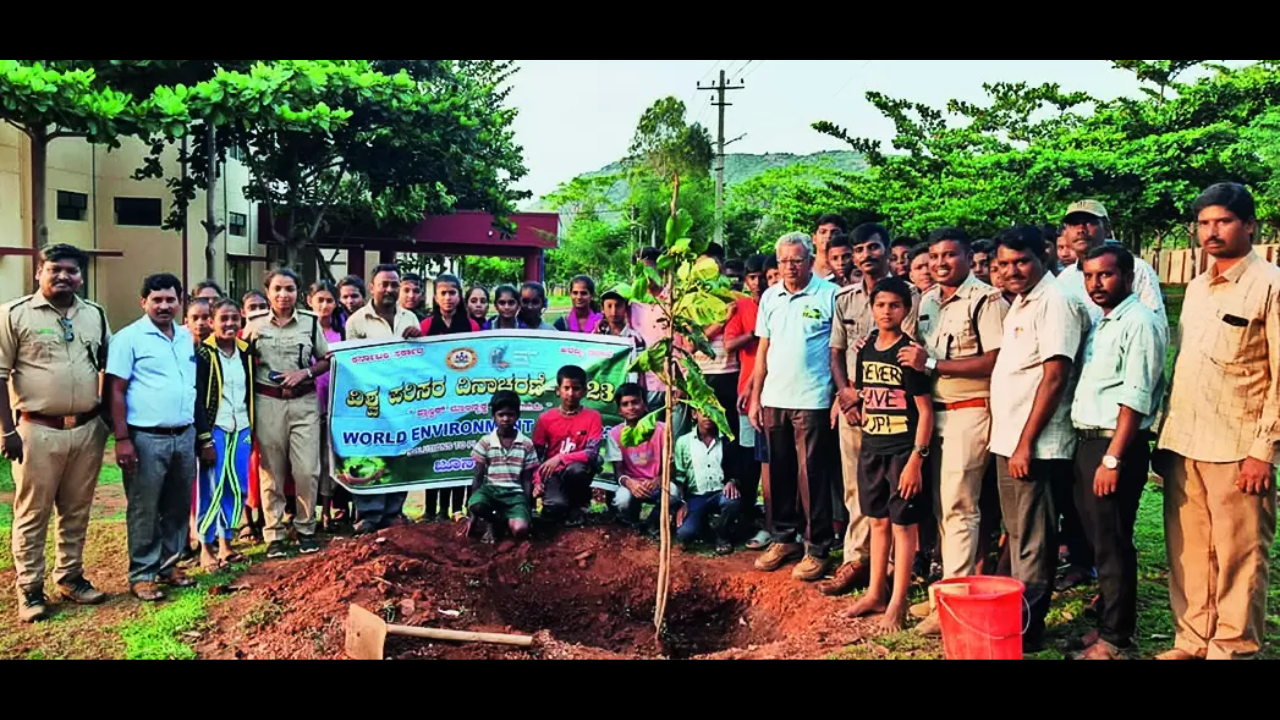 Forest: Forest Dept Launches Green Initiative In Brt Tiger Reserve | Mysuru News – Times of India