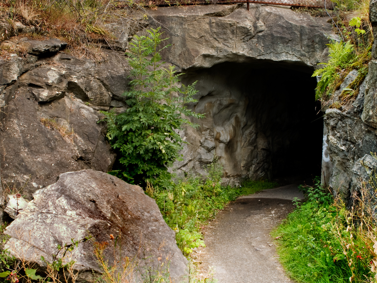 Delhi: A 13th century secret tunnel discovered in Siri Fort