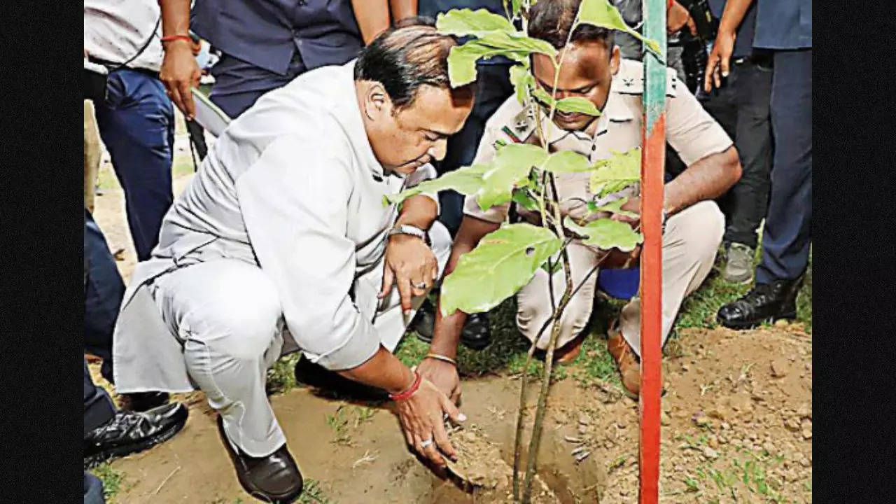 Himanta Biswa Sarma pledges to plant 1 crore saplings in 2 hrs on Gandhi Jayanti