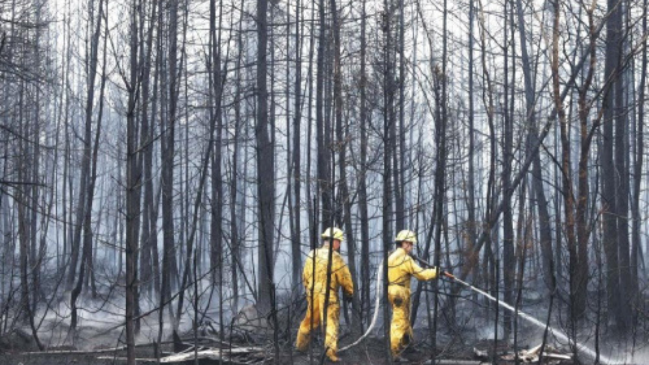 Yurt dışından gelen takviye kuvvetlerin gelmesiyle Kanada'daki orman yangınlarından kaynaklanan pus hafifliyor