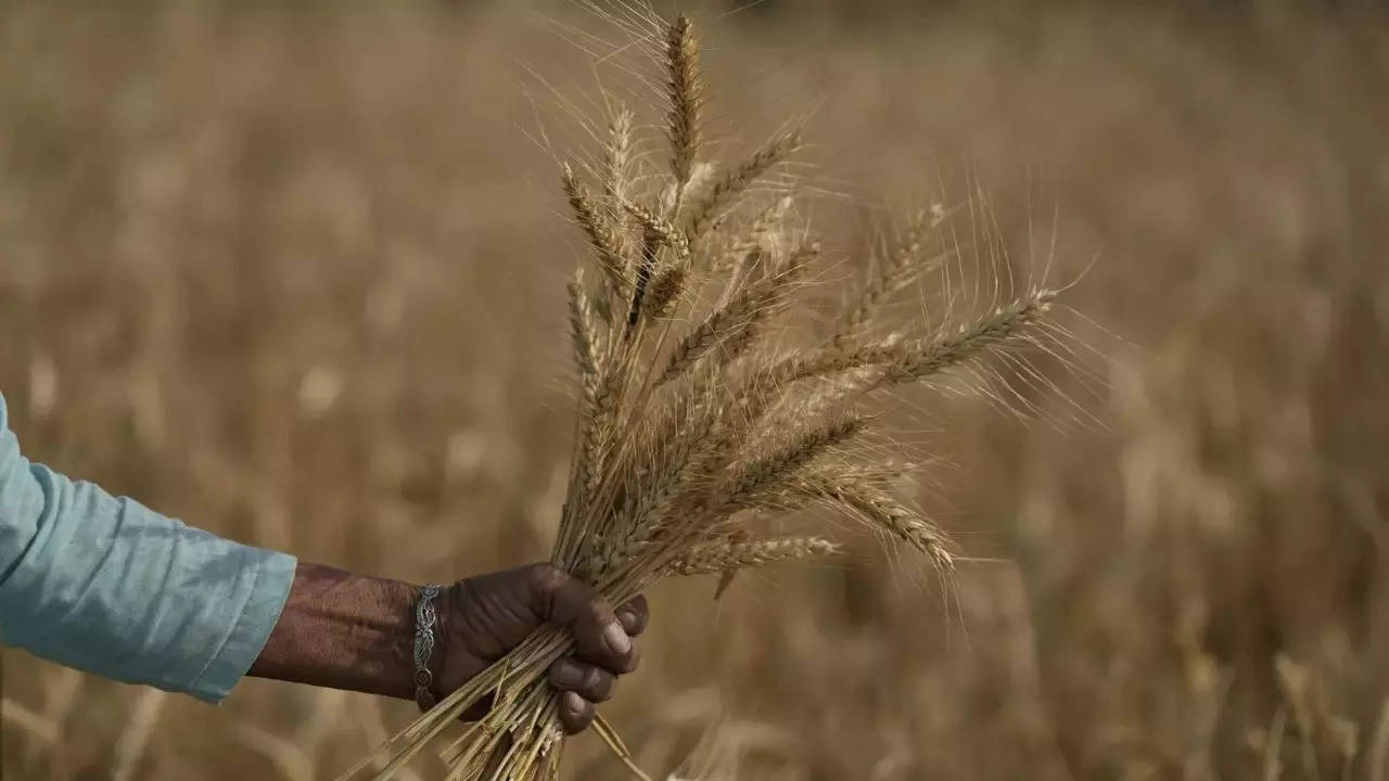FCI grain-buy ban on states to check price rise: Centre | India News -  Times of India