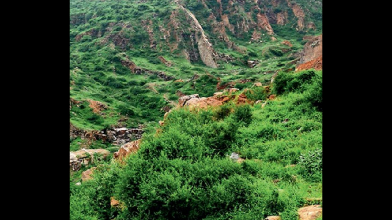 8% of Aravali hills gone since 1 9 7 5, 22% loss likely by 2 05 9: Study