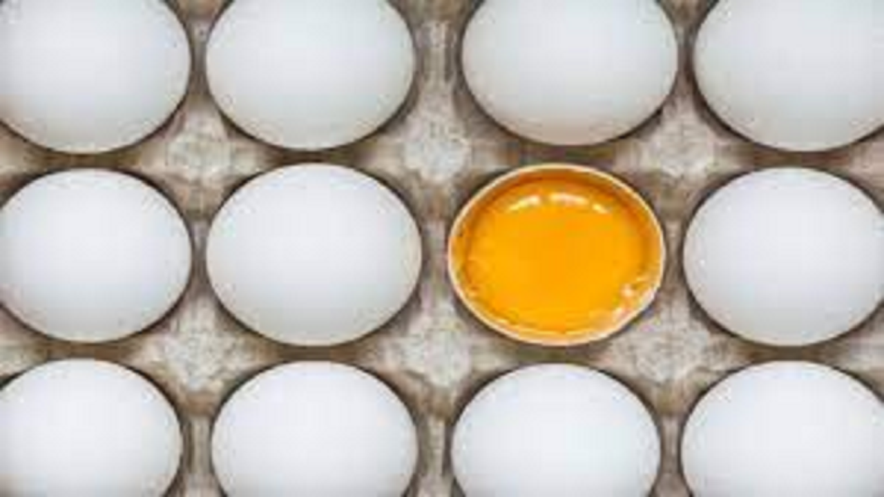 Midday meals: Eggs once a week till July 15 | Bengaluru News – Times of India