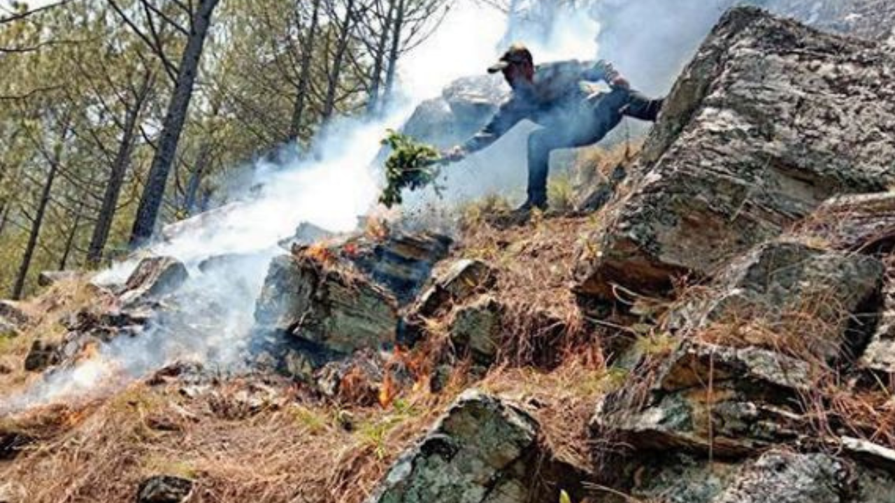 Clock Tower, Dehradun Map, Property Rates, Projects, Photos, Reviews, Info