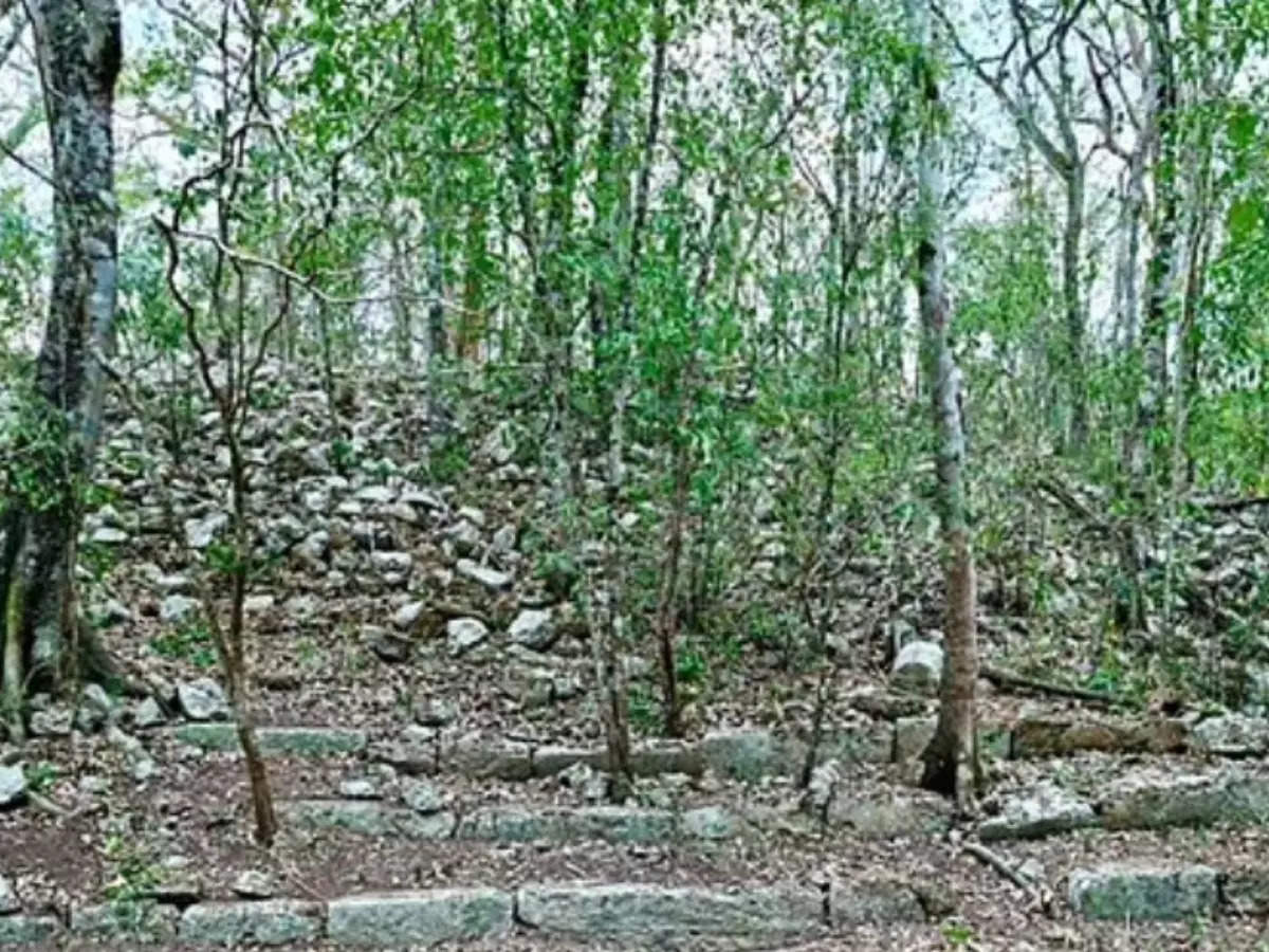 Archaeologists discover ancient Mayan City in Mexican jungle