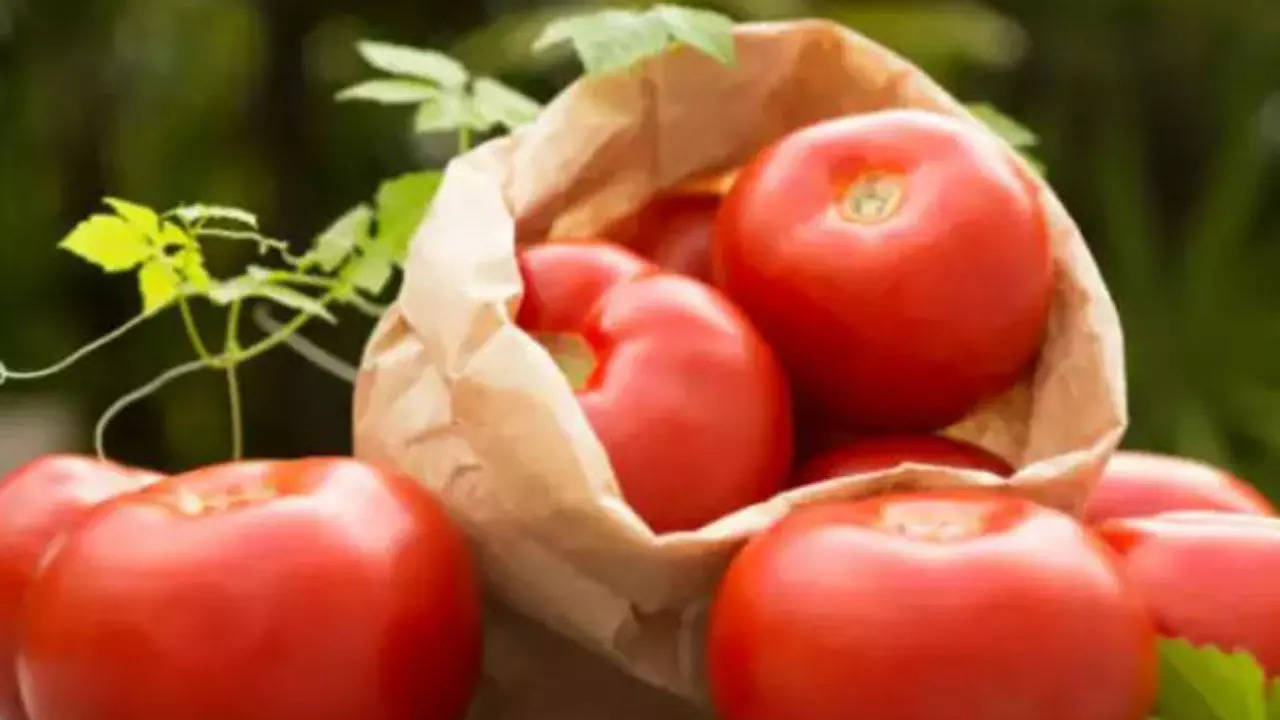 From MP to Karnataka, vegetable prices up: Tomato prices soar to Rs 110 per kg in Indore | Indore News – Times of India