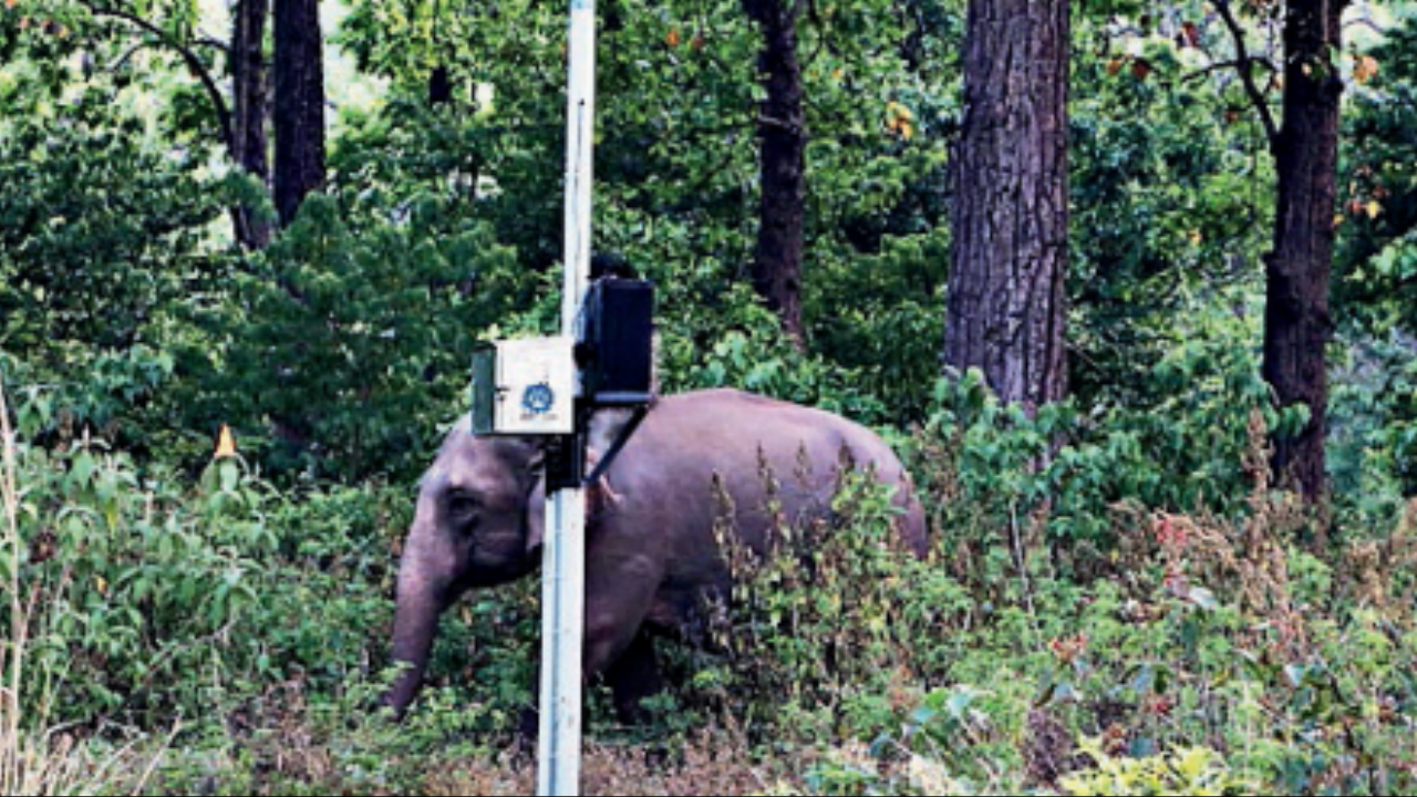 CSIO sensor in Rajaji Tiger Reserve in Uttarakhand