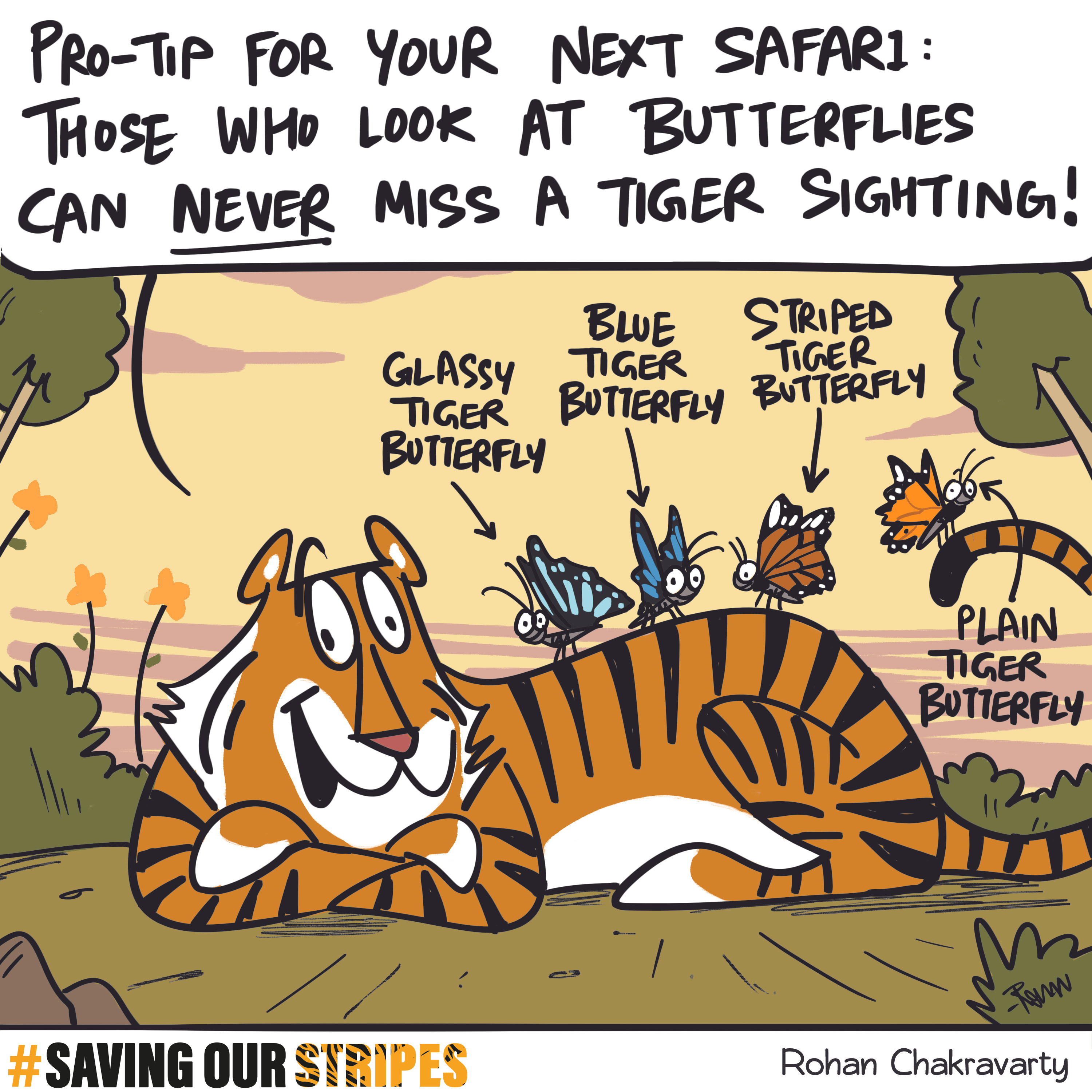 Pro-tip for Tiger Sighting 'Look out for Butterflies'