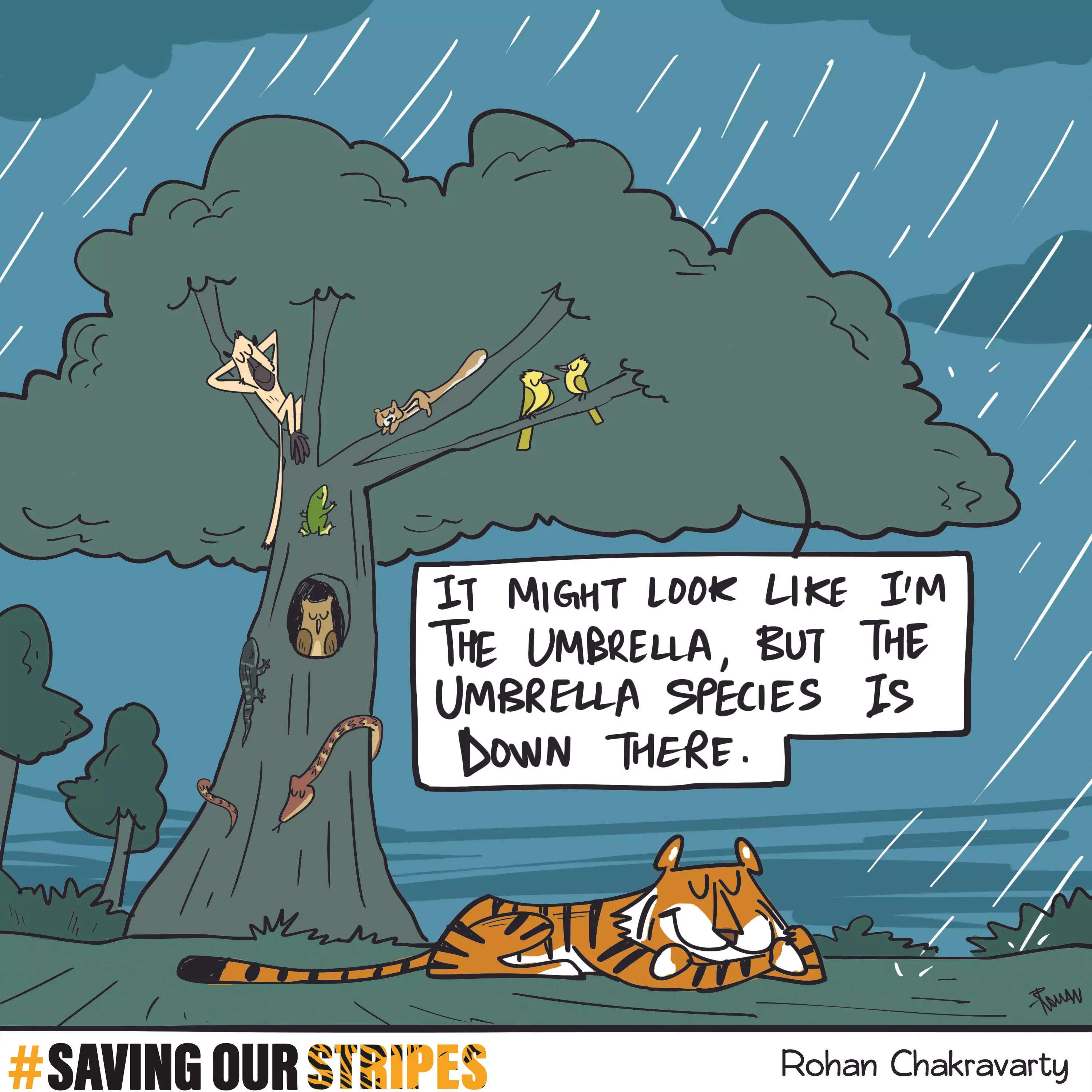The tree may be the one with the leaves, but the tiger is the one making this forest come alive. Let's give them the recognition they deserve!