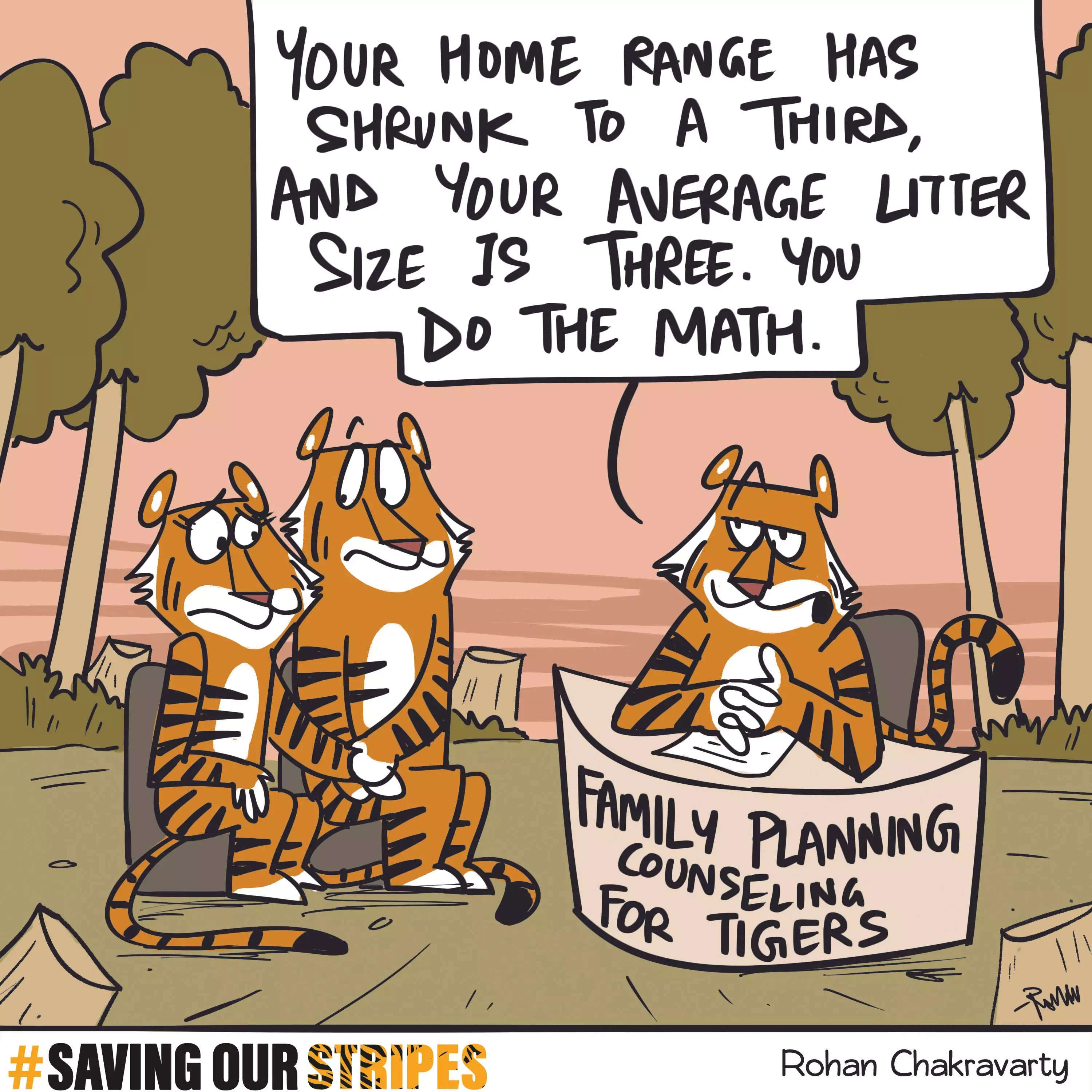 We may be big cats, but we still need a little help with the numbers! Our home range has shrunk and it's time for some tiger family planning to ensure a thriving population.