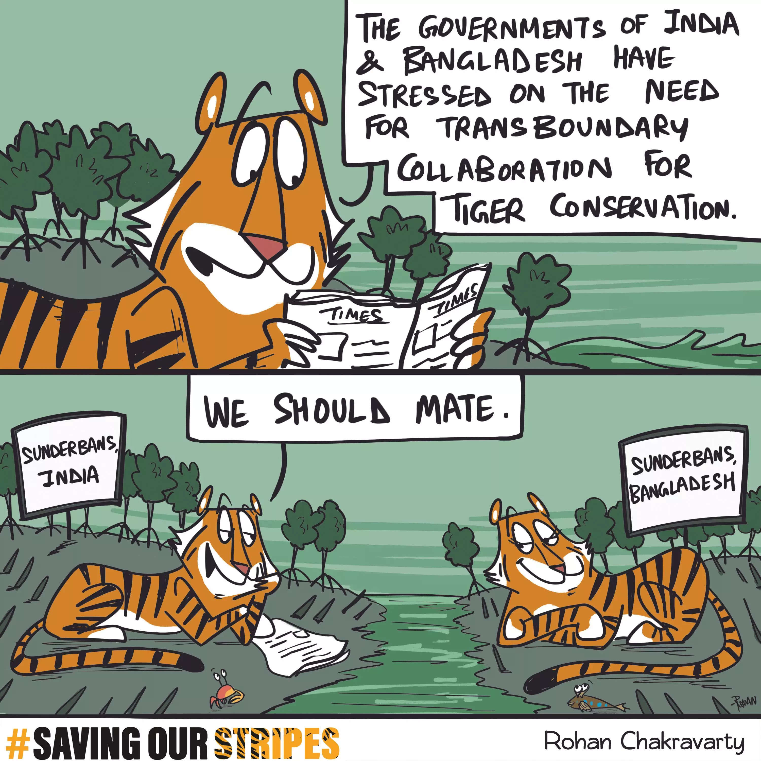 Breaking news: tigers from India and Bangladesh call for transboundary collaboration, aka it's time to swipe right!