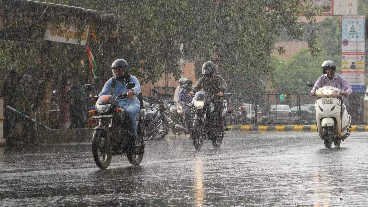 Heavy rain likely in many states as N India fights monsoon woes