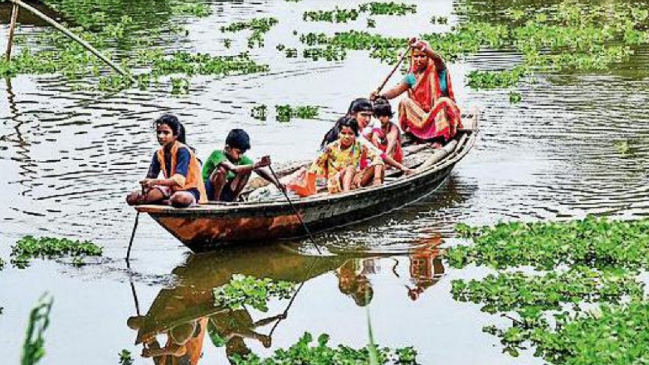 Parts of Kaziranga national park go under water as flood situation in Assam remains grim | Guwahati News – Times of India