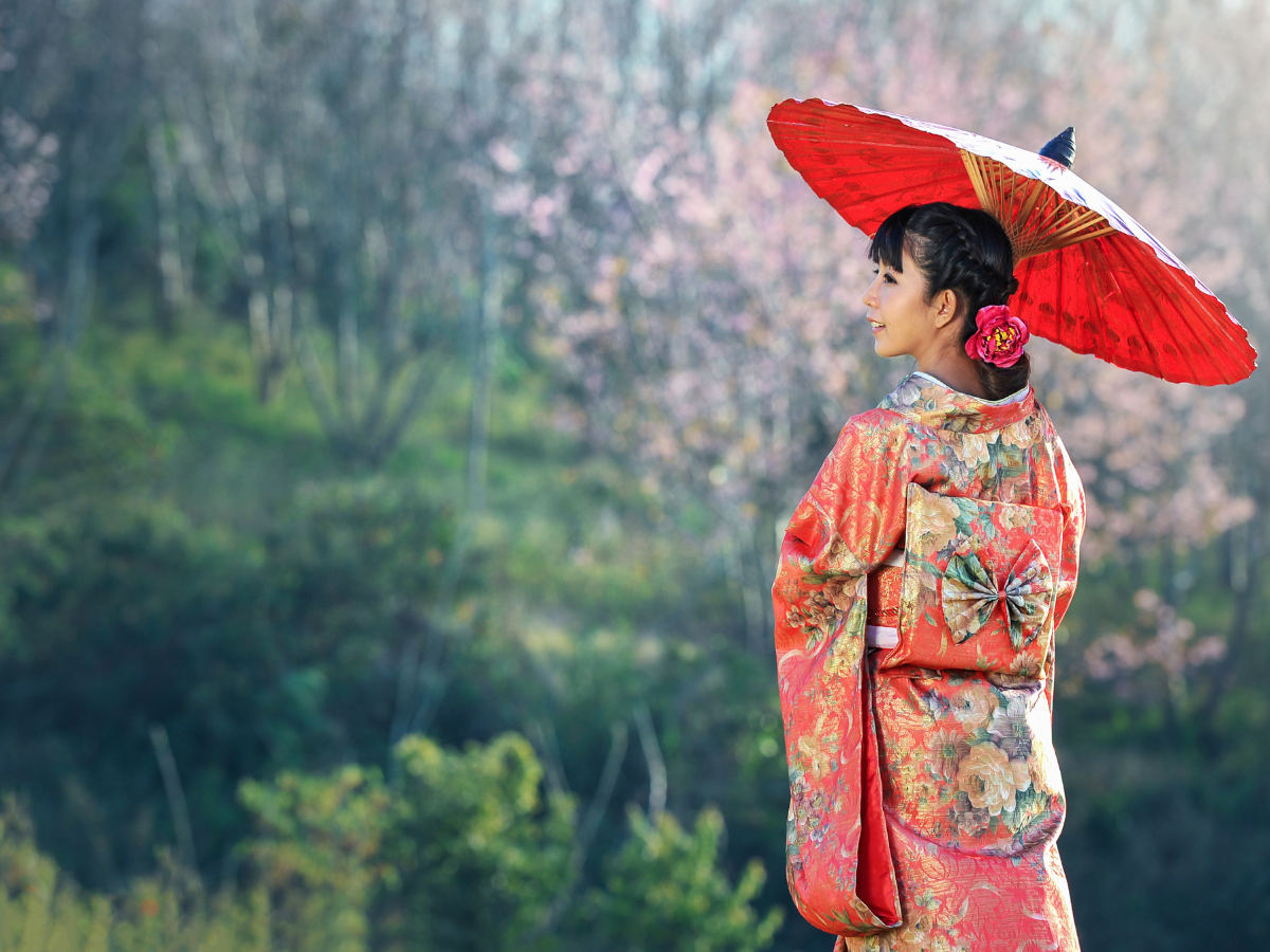How to meet the mysterious and elusive Geisha when in Japan?